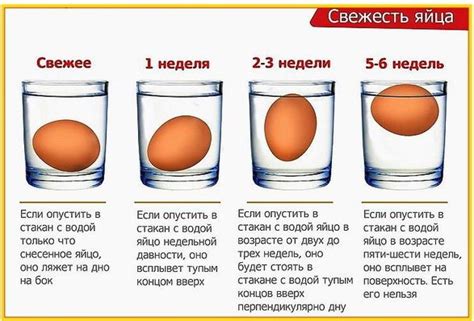 Полные яйца и контроль веса